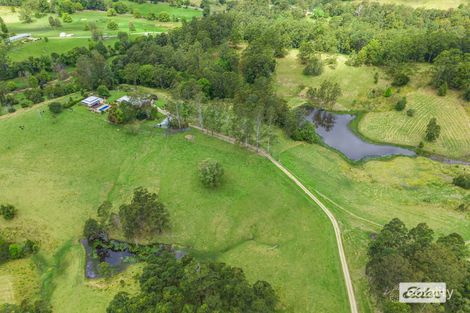 Property photo of 49 Pine Log Road Doon Doon NSW 2484