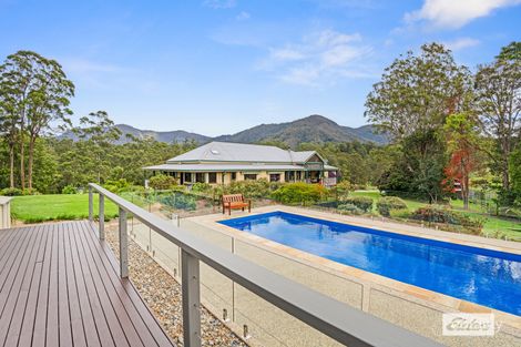 Property photo of 49 Pine Log Road Doon Doon NSW 2484