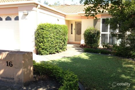 Property photo of 16 The Estuary Coombabah QLD 4216