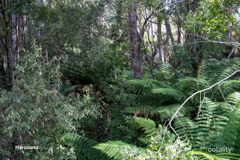 Property photo of 14 Chambers Road Franklin TAS 7113