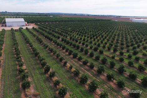 216 Bob Irvin Rd, Yoogali, NSW 2680