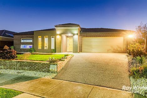 19 Colendy Cl, Lyndhurst, VIC 3975