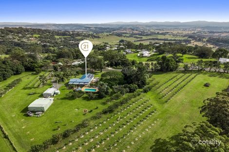130 Cowlong Rd, Mcleans Ridges, NSW 2480