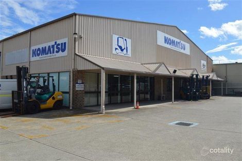 3 Friesian Cl, Sandgate, NSW 2304