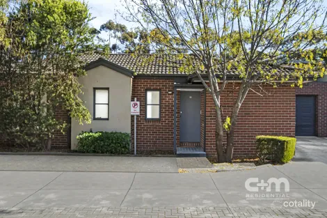 Property photo of 19/16 Pascoe Street Pascoe Vale VIC 3044