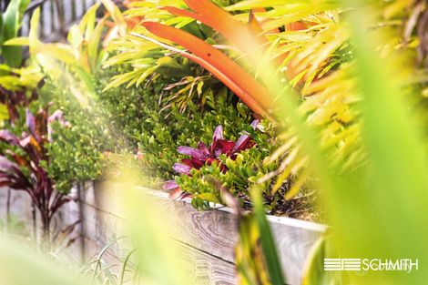 Property photo of 25/96 Galleon Way Currumbin Waters QLD 4223
