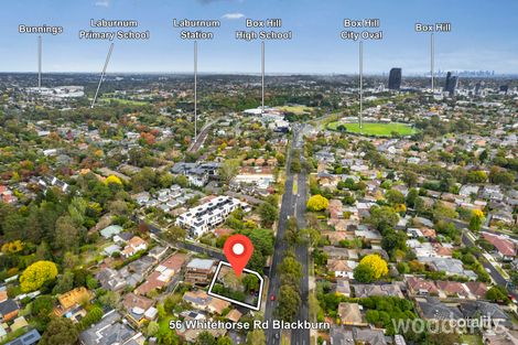 Property photo of 56 Whitehorse Road Blackburn VIC 3130