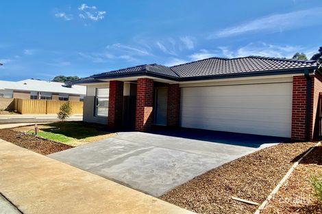 Property photo of 62 Countess Drive St Leonards VIC 3223