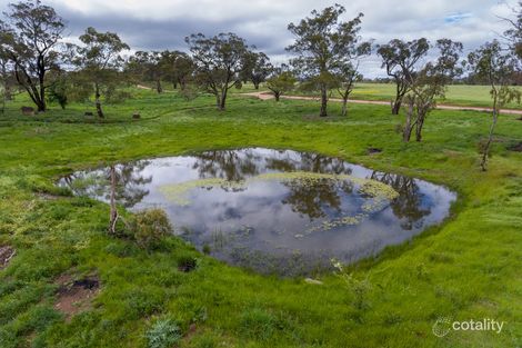 Property photo of 141 Bargwanna Road Spring Creek NSW 2800