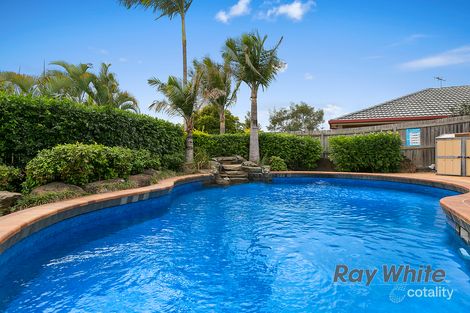 Property photo of 6 Dynasty Court Alexandra Hills QLD 4161
