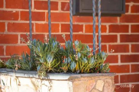 Property photo of 10 Ready Street Rutherglen VIC 3685