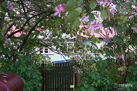 114 Wardell St, Ashgrove, QLD 4060