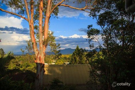 56 Lyon St, Bellingen, NSW 2454