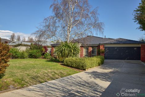 Property photo of 6 Grosvenor Court Warragul VIC 3820