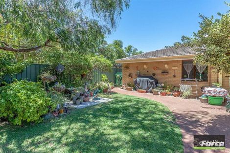 Property photo of 7 Macedon Place Craigie WA 6025