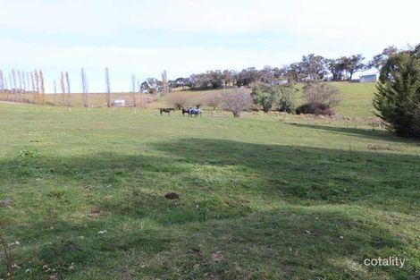 Property photo of 41 Power Street Tumbarumba NSW 2653