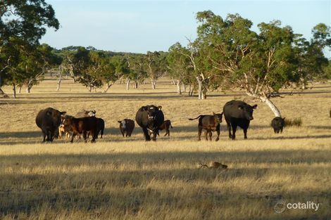 375 Napper Rd, Laffer, SA 5267