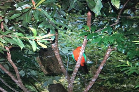 Property photo of 417 Bellthorpe West Road Bellthorpe QLD 4514