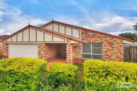 Property photo of 49 Shelduck Place Calamvale QLD 4116