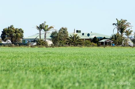 317 Couper Rd, South Kununoppin, WA 6489