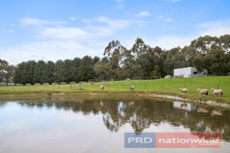 Property photo of 19 Cynthia Court Haddon VIC 3351