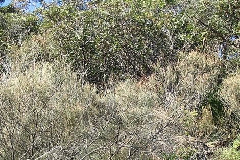 115 Del Monte Pl, Copacabana, NSW 2251