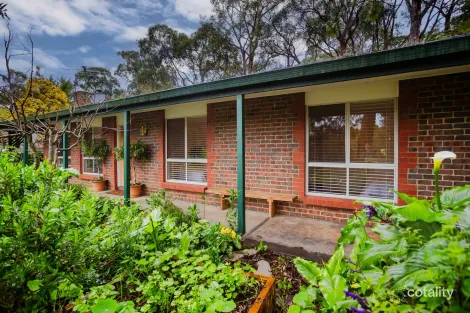 Property photo of 31 Wychwood Grove Upper Sturt SA 5156