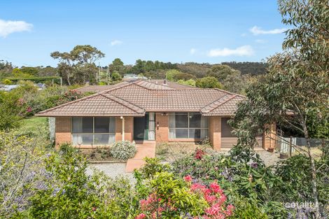 Property photo of 38 Lamartine Avenue Wentworth Falls NSW 2782