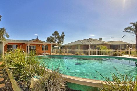 1445 Karoonda Hwy, Pata, SA 5333
