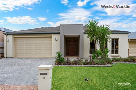 Property photo of 44 Grant Avenue Gilles Plains SA 5086