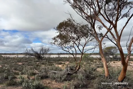 Property photo of Goldfields Road Kellerberrin WA 6410