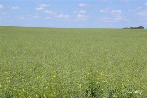 1 Barwell Rd, Lock, SA 5633