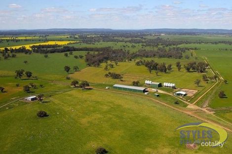 449 Willawang Rd, Warroo, NSW 2871