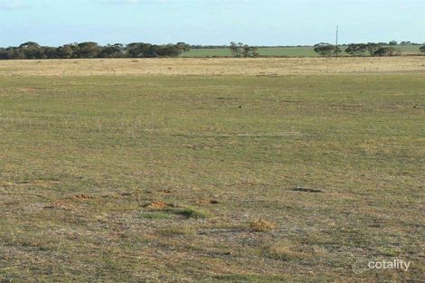 5568 Billiatt Rd, Lameroo, SA 5302