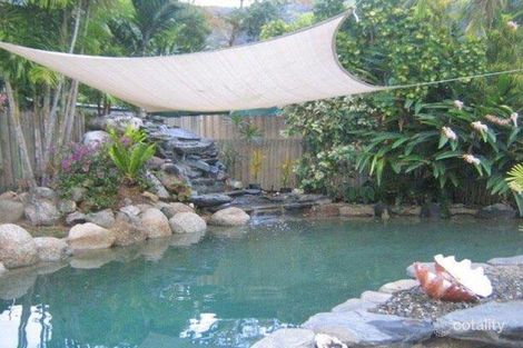 55 Terebra St, Palm Cove, QLD 4879