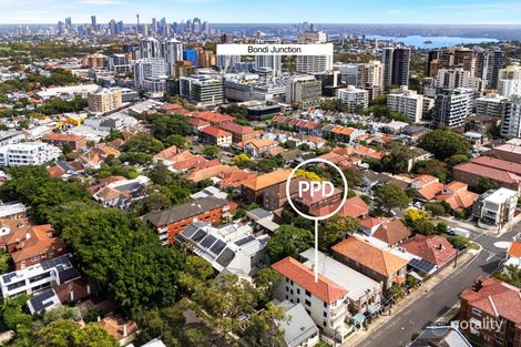 Property photo of 21 Botany Street Bondi Junction NSW 2022