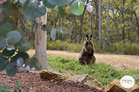 Property photo of 95 Browns Road Evansford VIC 3371