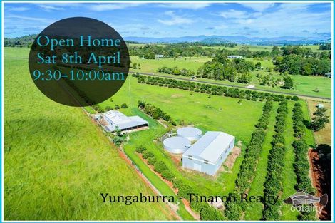 87 Lakes Dr, Lake Eacham, QLD 4884