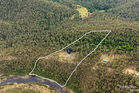 238 PITKINS RD, NYMBOIDA, NSW 2460