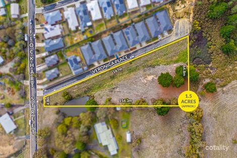 25a Flockhart St, Mount Pleasant, VIC 3350