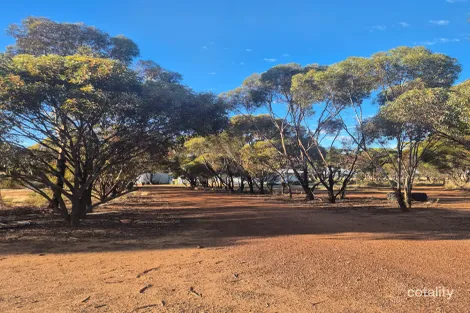 8 Cook St, Kondinin, WA 6367