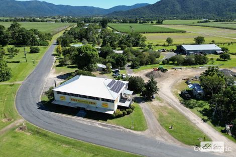 Property photo of 159 Feluga Road Feluga QLD 4854