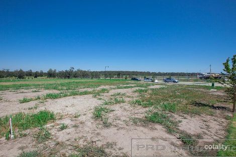 61 Tarragon Way, Chisholm, NSW 2322