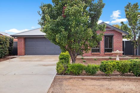 17 Tapp Tce, Murray Bridge, SA 5253