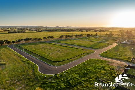 10 Blackwood Cct, Forest Hill, NSW 2651