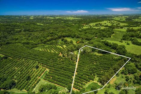 20 Eureka Rd, Rosebank, NSW 2480