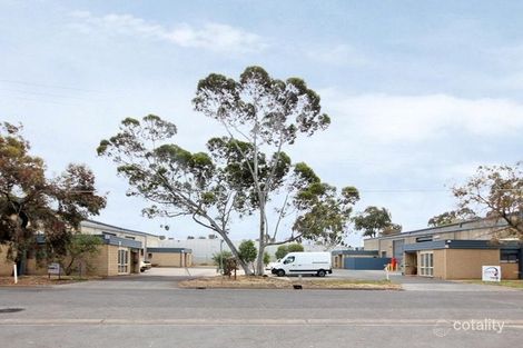 19 Musgrave Ave, Welland, SA 5007