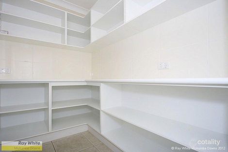 Property photo of 1 Sage Parade Griffin QLD 4503