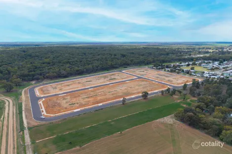 31 Helena Pde, Darlington Point, NSW 2706