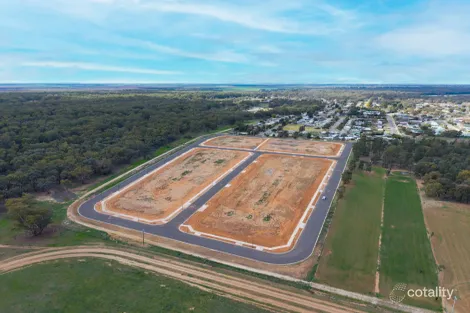 Property photo of 31 Helena Parade Darlington Point NSW 2706